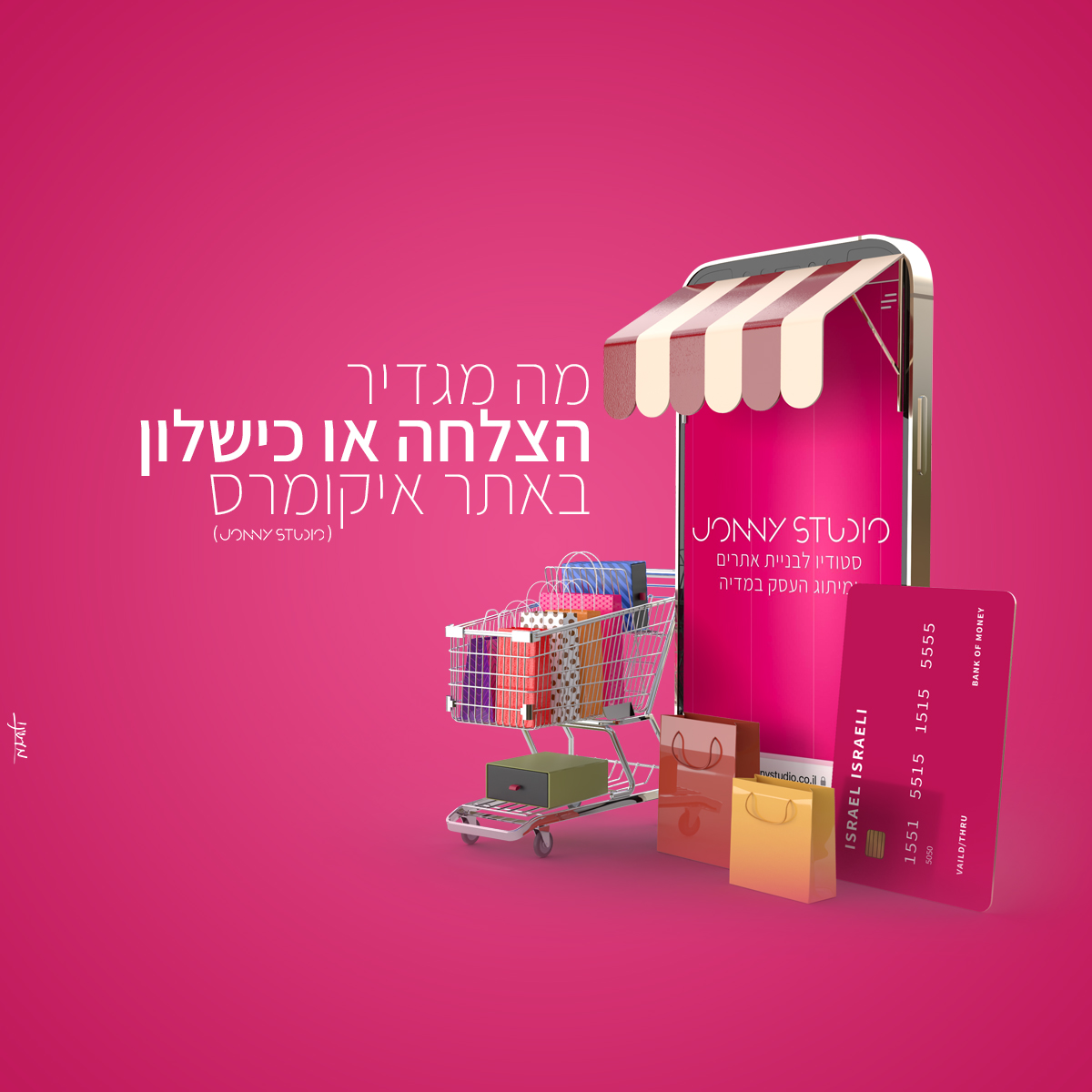 Entry 285489 in Portfolio by מעשינו