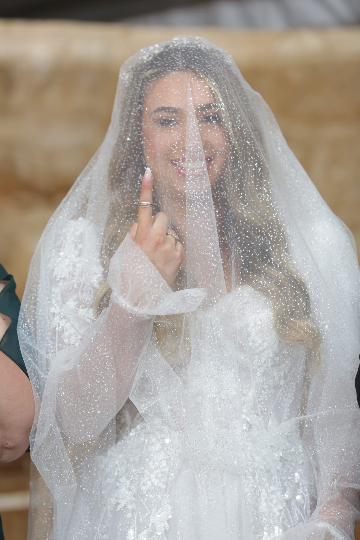 Entry 314792 in Portfolio by אמיר אלבז צילום אירויעם