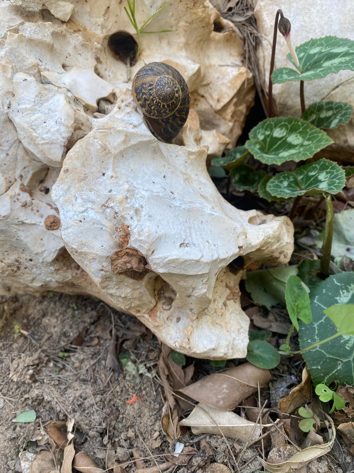 Entry 349352 in Portfolio by מולטי חווה