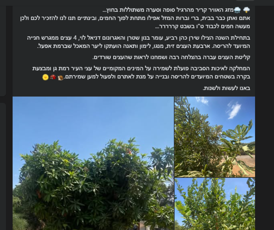 Entry 323763 in Portfolio by Taragana Media- טרגנה מדיה