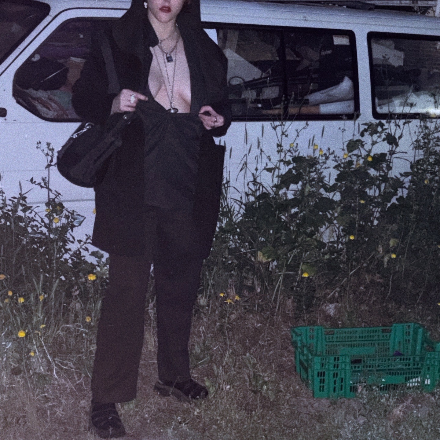 Entry 347633 in Portfolio by אלכסנדרה צ׳ורנייה