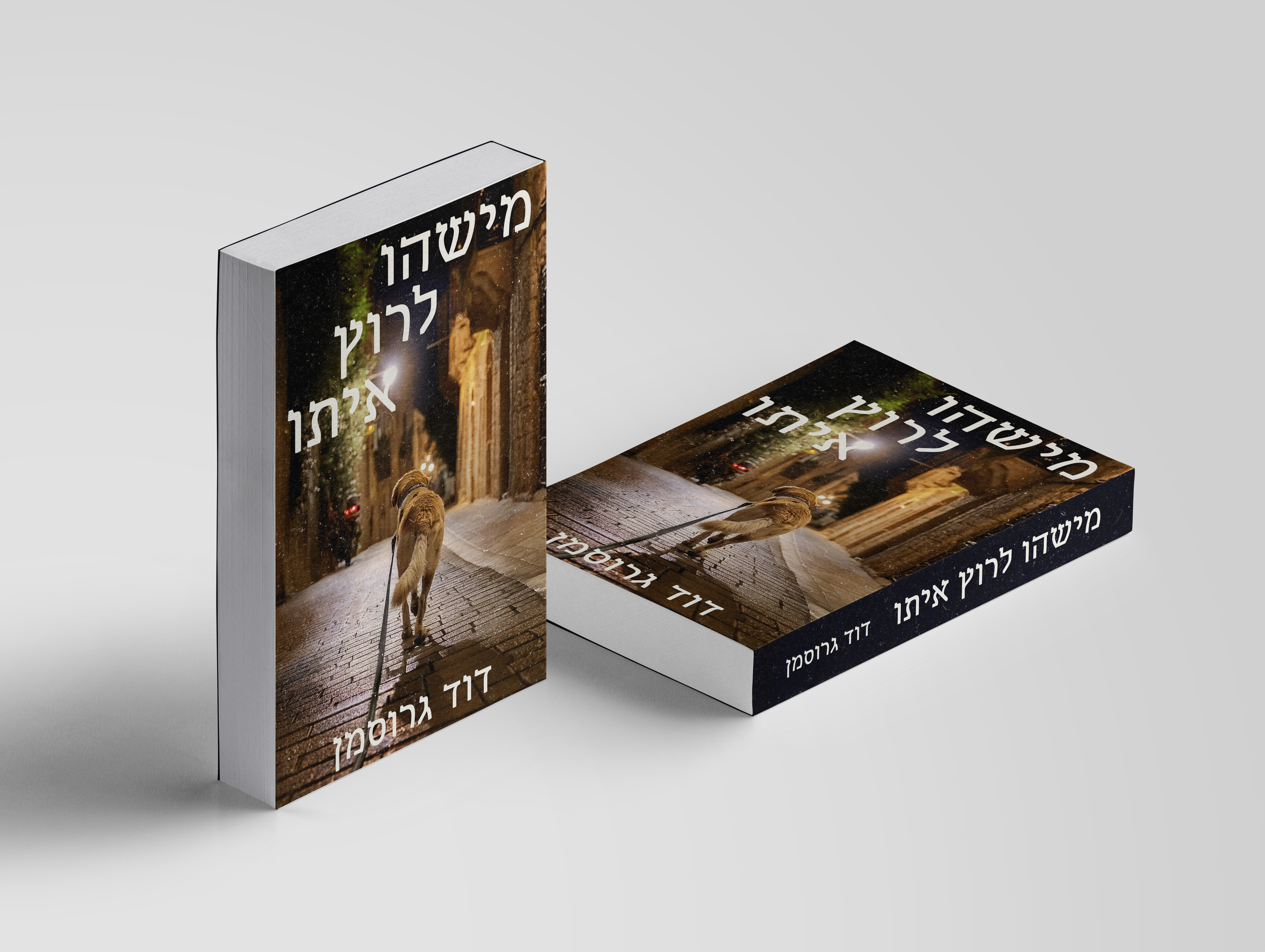 Entry 321837 in עיצוב כריכות פרויקט עצמי by Gefen Graphics
