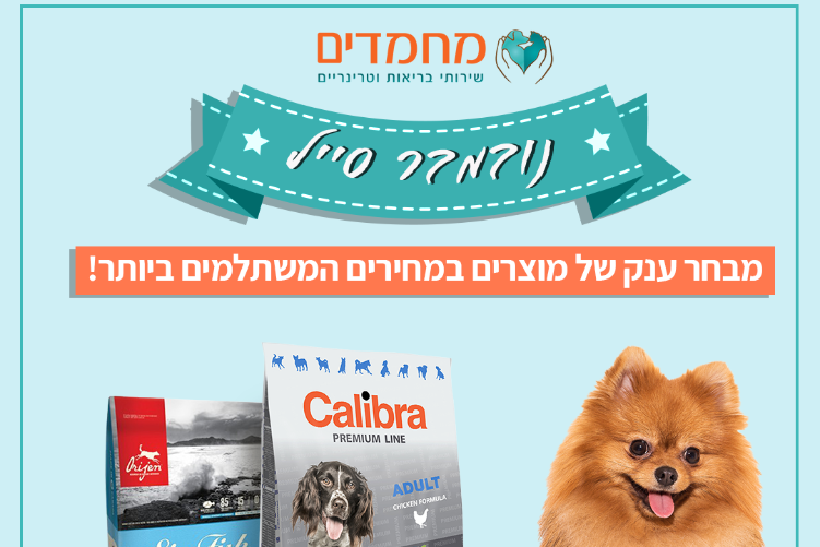 Open Zoomed Related Entry כלבים.png