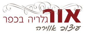 Entry 49197 in Portfolio by ענבר עיצובים