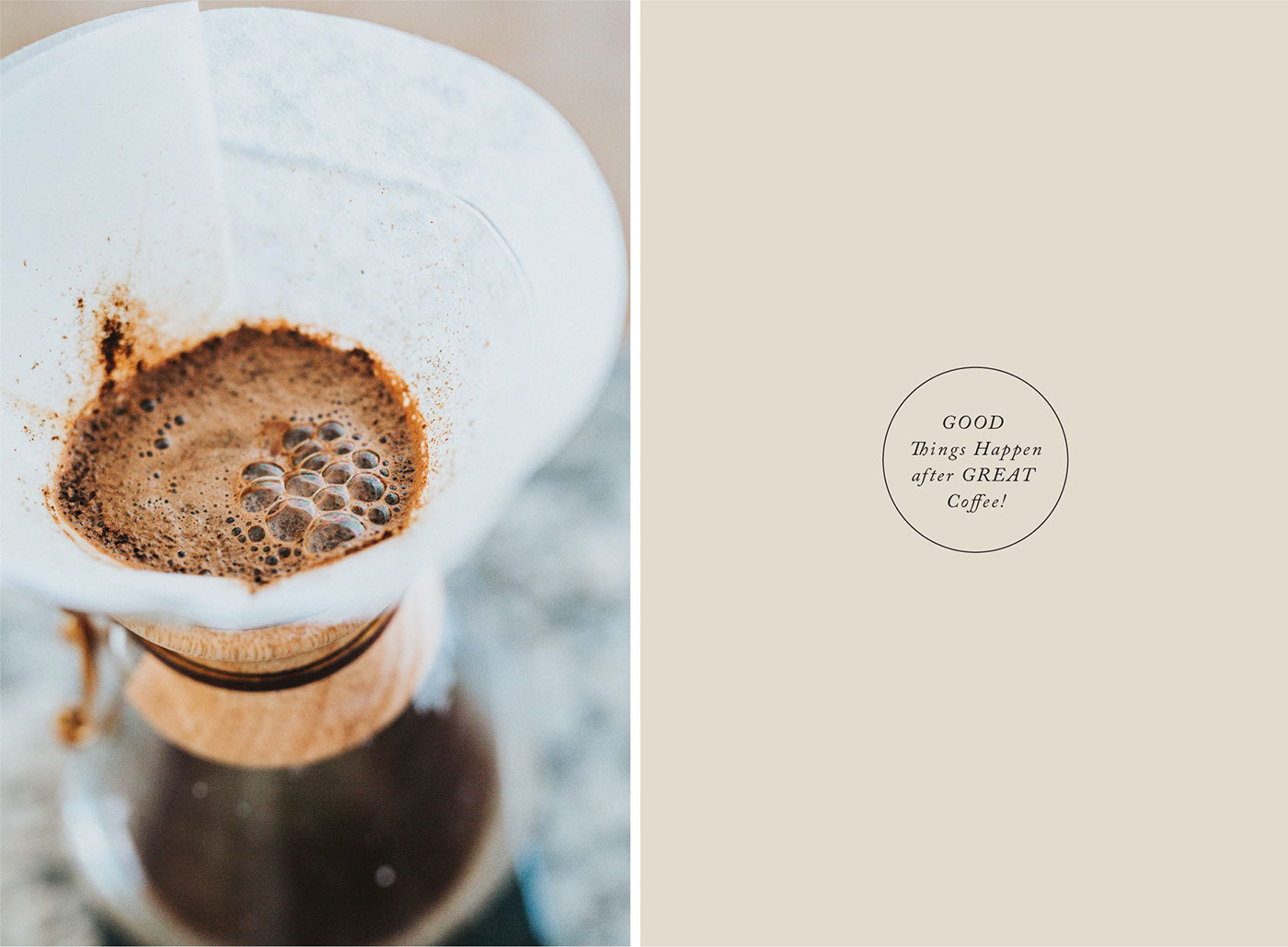 Entry 141390 in Paprotka/ Branding, Identity by DigitalMind