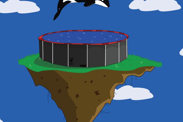 Open Zoomed Related Entry shamu.png