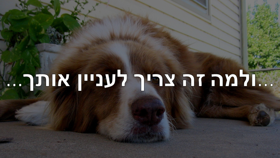 Entry 238120 in מצגת הדרכה: הטמעה של מערכת למידה בנייד by סמארט-אפ: פיתוח תוכן לימוד מקוון