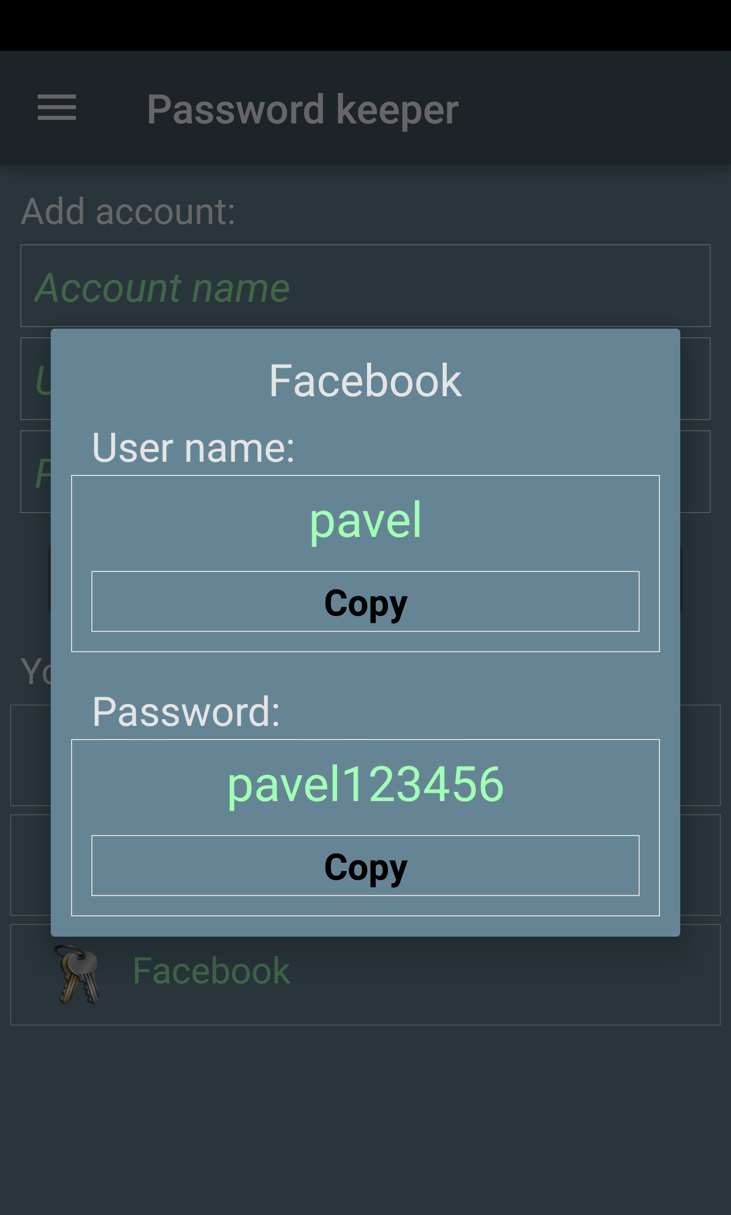 Entry 86835 in Portfolio by פבל פוליי