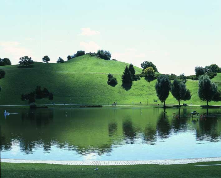 Entry 7226 in Portfolio by דניאלה הורבין- צלמת