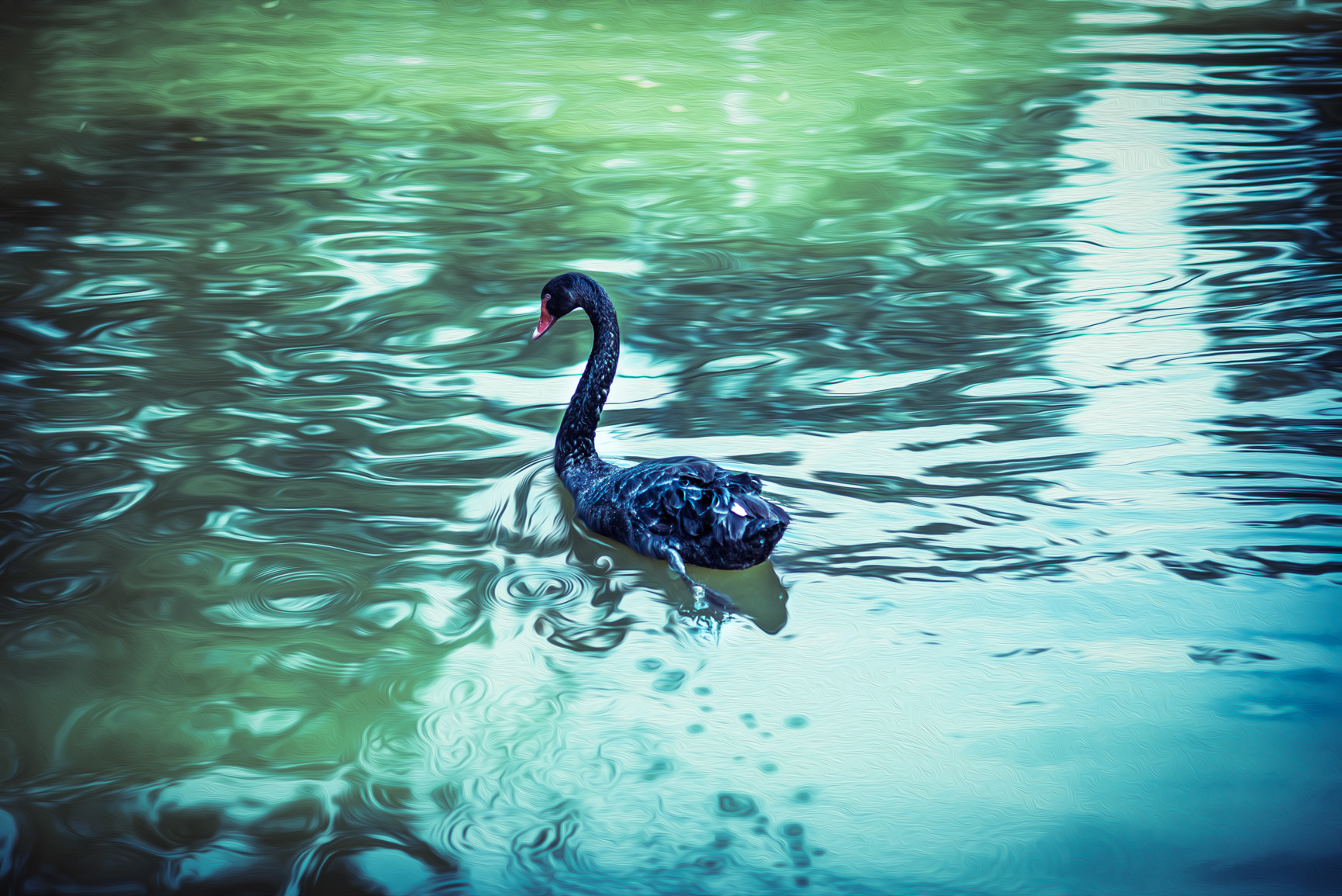 Entry 121503 in Animals by Ron Stollman Photography