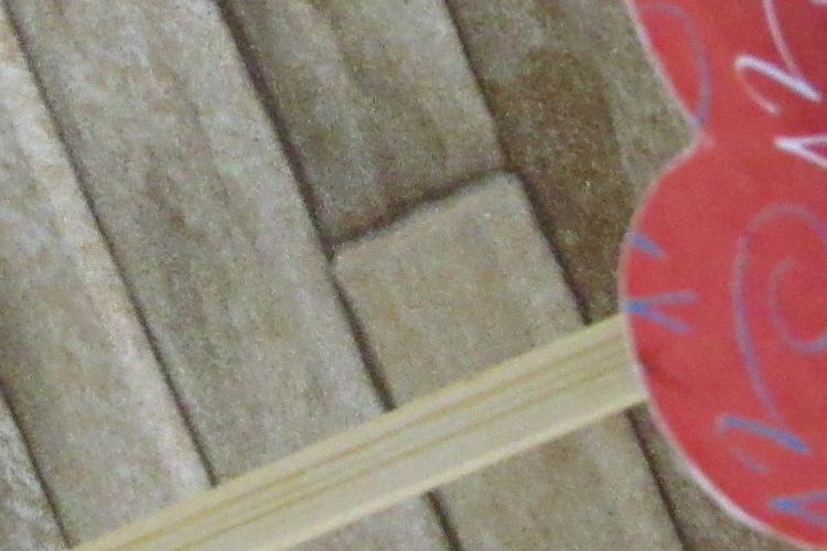 Open Zoomed Related Entry IMG_2517.JPG