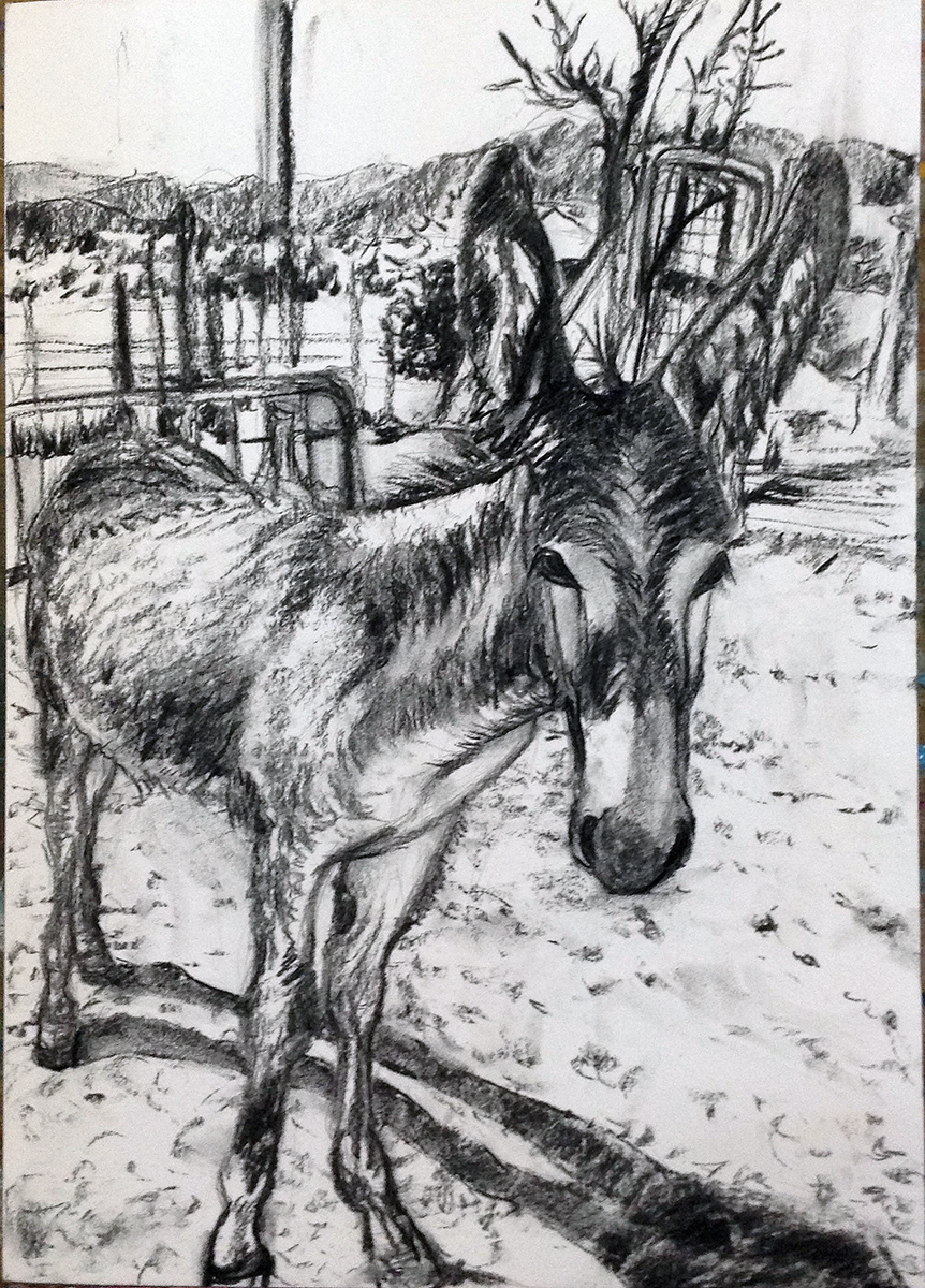 Entry 193024 in Portfolio by You Are Art