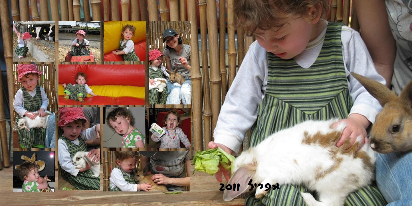 Entry 73925 in Portfolio by OWL STUDIO - סטודיו לעריכת וידיאו ועיצוב גרפי