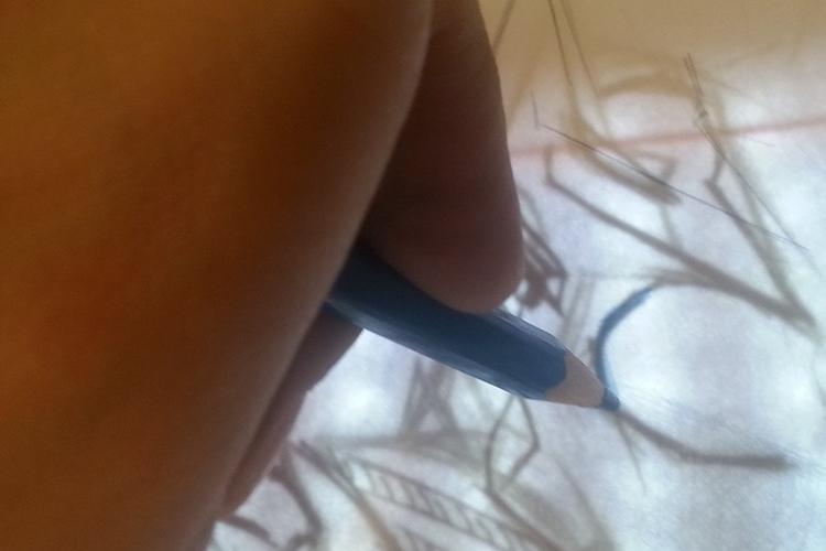 Open Zoomed Related Entry 31125c39136535.5771a9588da0e.jpg