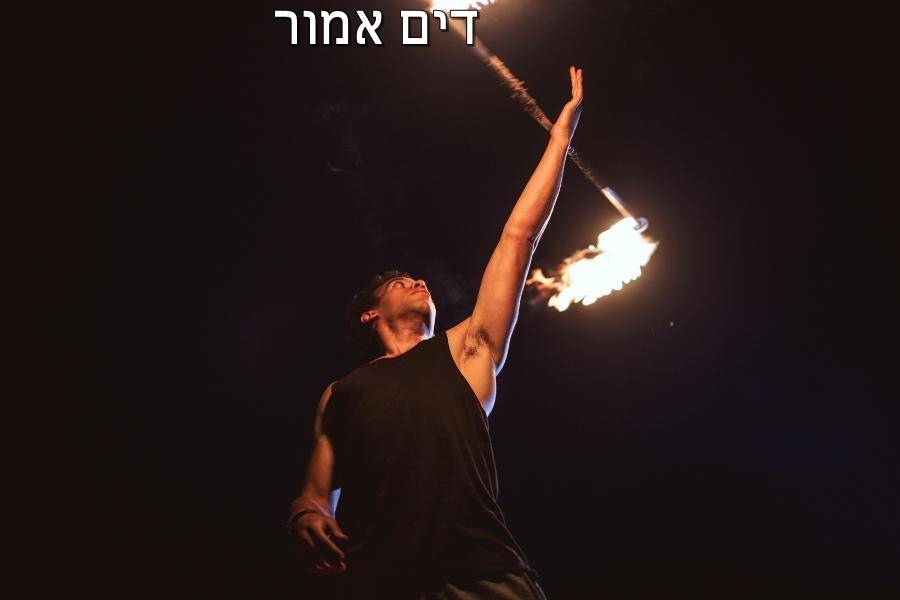 Entry 267768 in Portfolio by דים אמור בית ספר למשחק