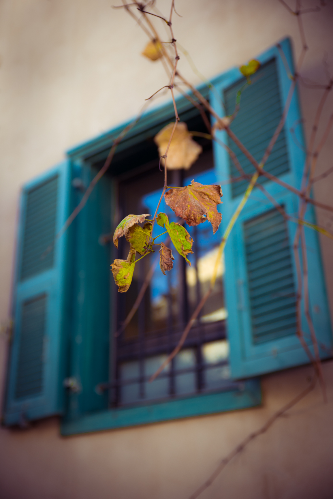 Entry 121517 in Miscellaneous by Ron Stollman Photography