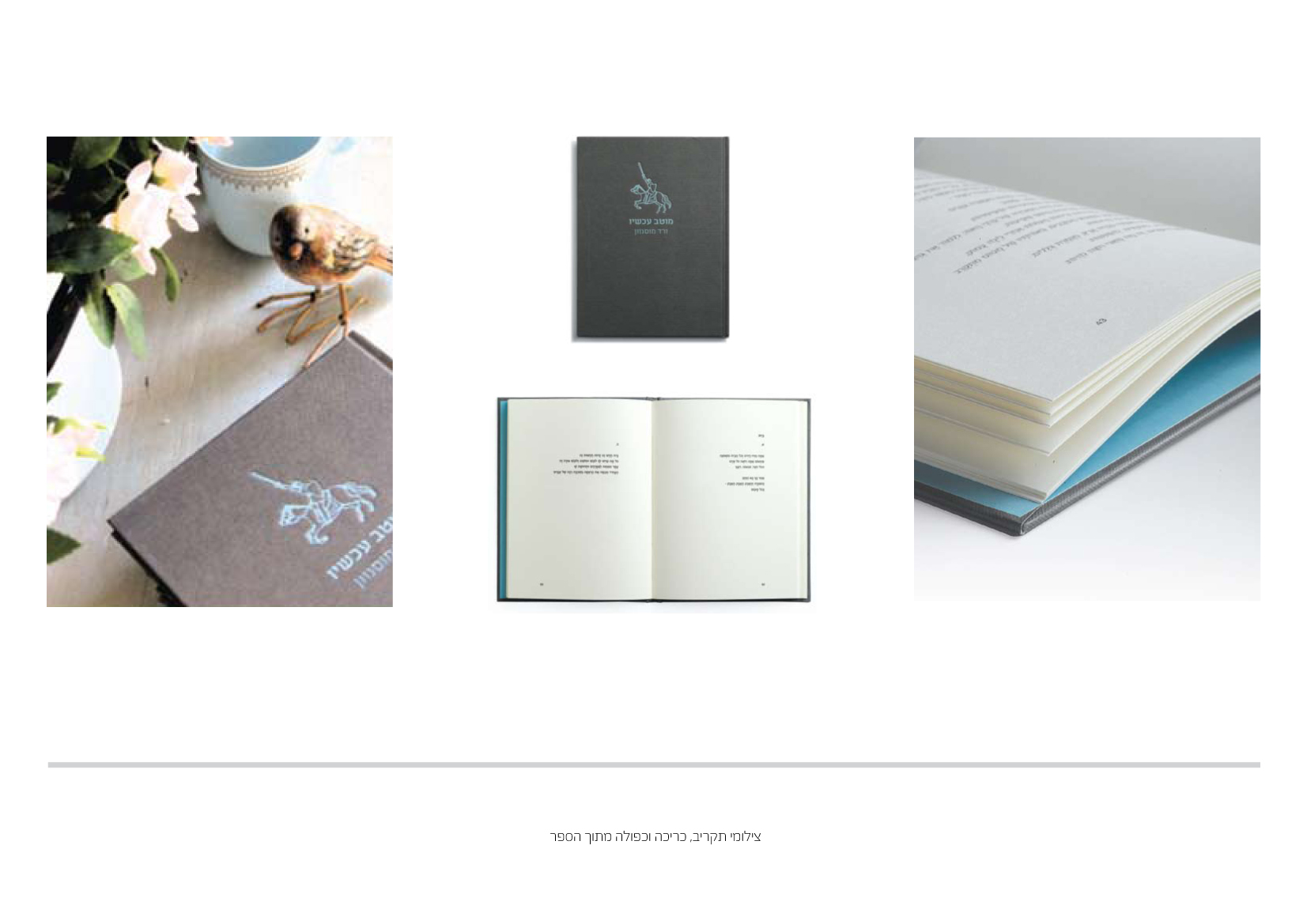 Entry 86998 in Portfolio by ענבל טל עיצוב גרפי