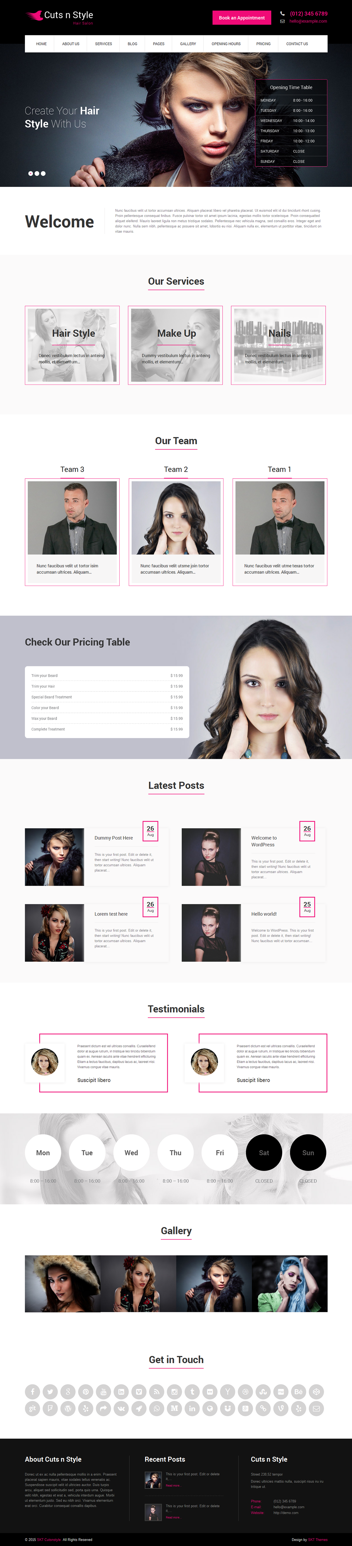 Entry 182573 in CutsNStyle WordPress Theme by SKT Themes