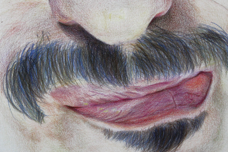 Open Zoomed Related Entry fc594614-53c8-4c4d-a254-2b1ca5ce9c32_rw_1920.jpg