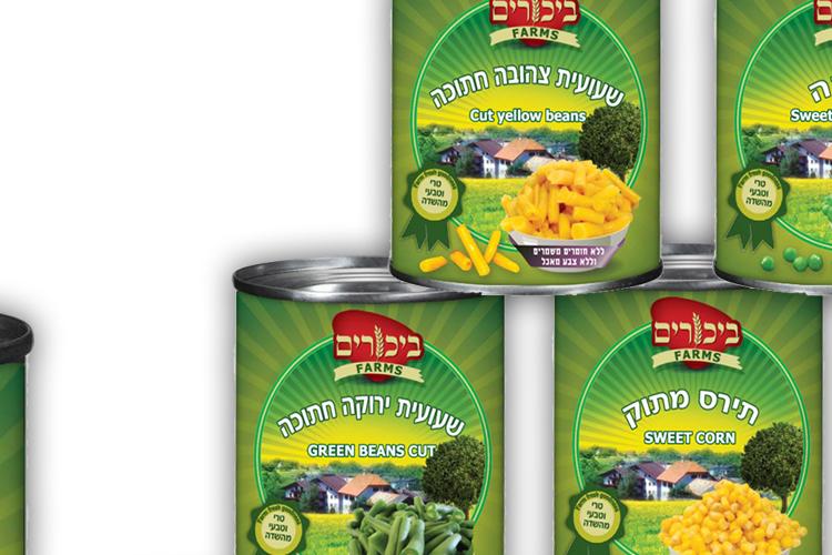 Open Zoomed Related Entry הדמייה של כולם copy.jpg