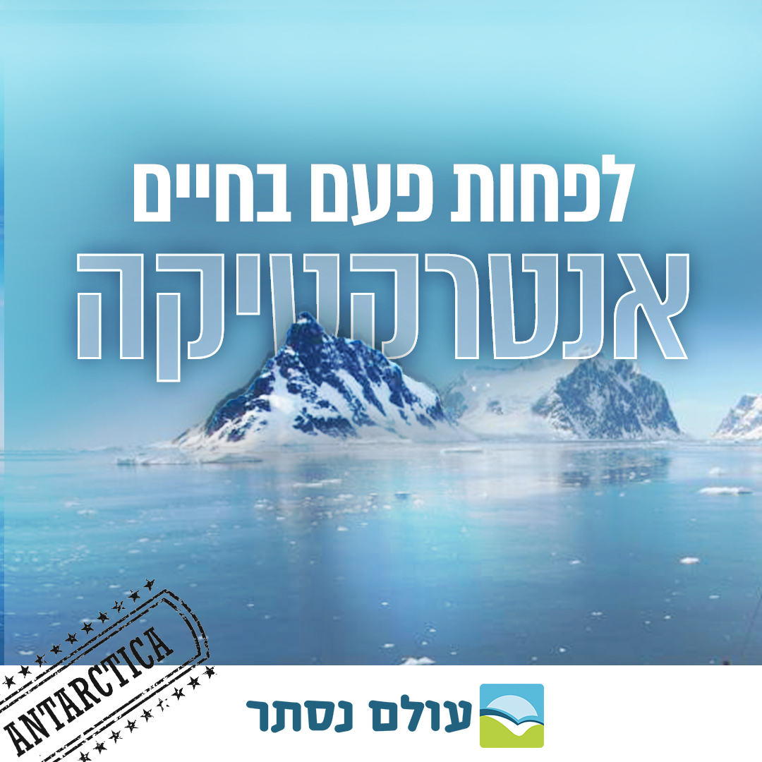 Entry 279907 in Digital & Social Media by Nurit Cohen G Design