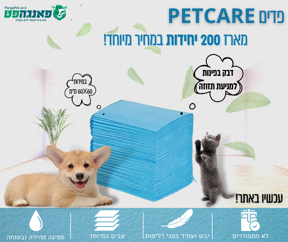 Entry 272559 in Portfolio by פרטי