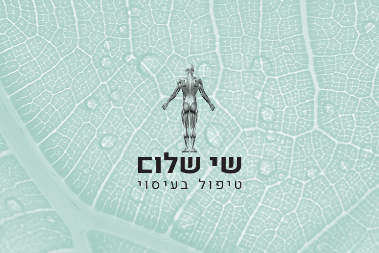 Open Zoomed Related Entry shayshalom_main.jpg
