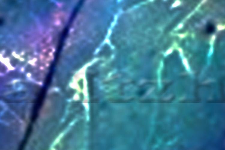 Open Zoomed Related Entry abstract102124HS.jpg