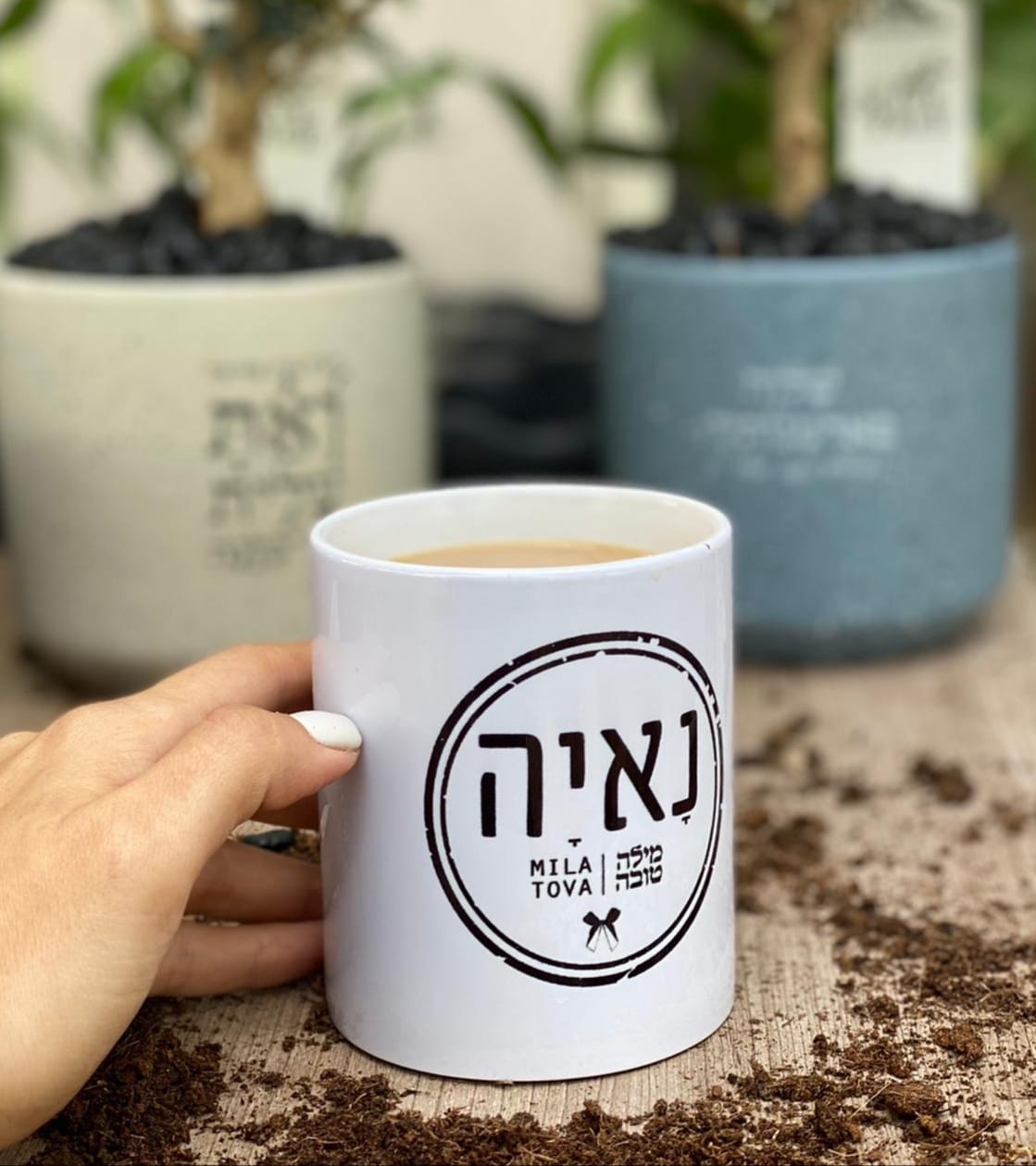 Entry 338864 in עיצובי לוגו by לירון וייס בן-דוד