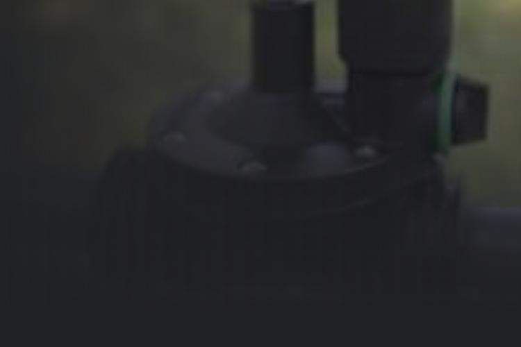 Open Zoomed Related Entry Screen Shot 2022-09-28 at 10.04.01.png