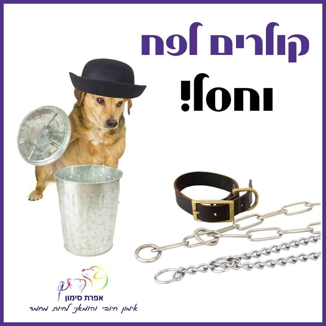 Entry 283103 in אפרת סימון- עיצוב לסושיאל by מירב טל CREATION
