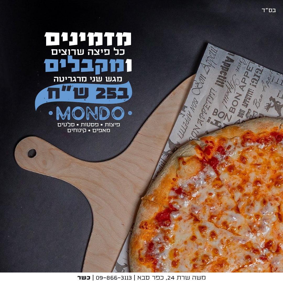 Entry 285504 in Portfolio by מעשינו