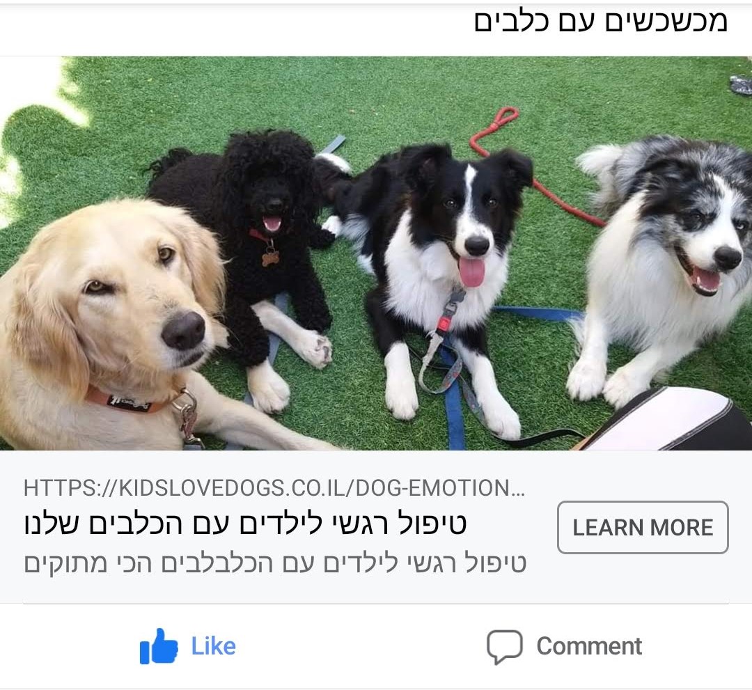 Entry 275230 in Portfolio by Taragana Media- טרגנה מדיה