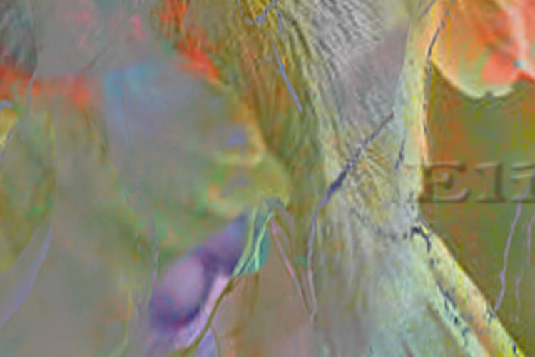 Open Zoomed Related Entry digbird10501elinaHS.jpg