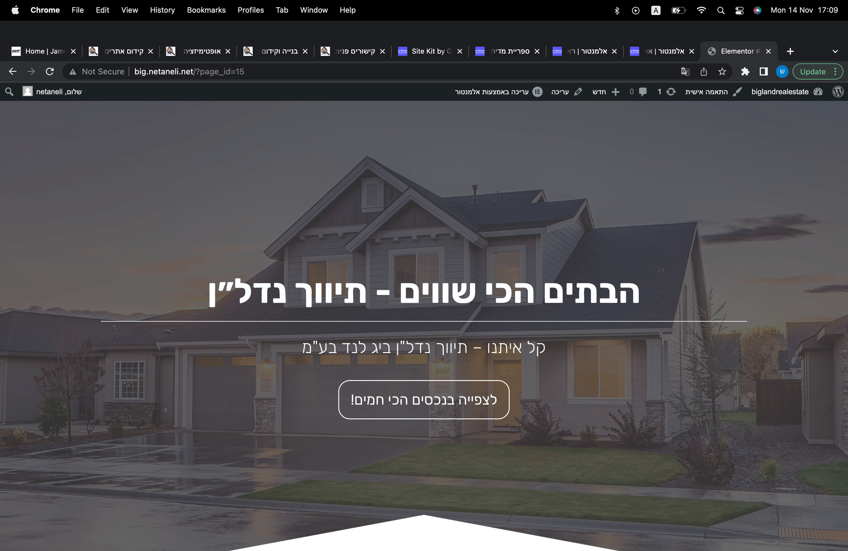 Entry 281040 in Portfolio by שחר נתנאלי - בנייה ועיצוב אתרים