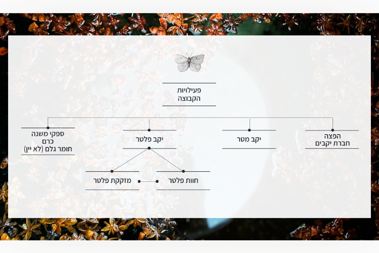 Open Zoomed Related Entry Peler-Distillery_presentation-design_0006_Layer...