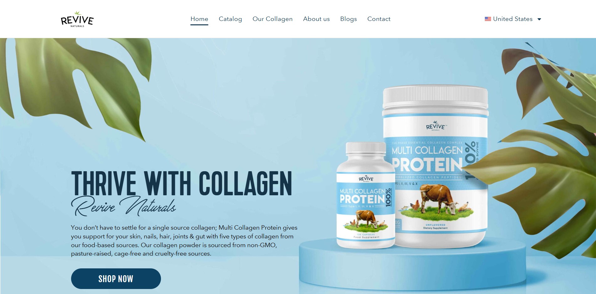 Entry 336368 in Portfolio by PixelBuilt