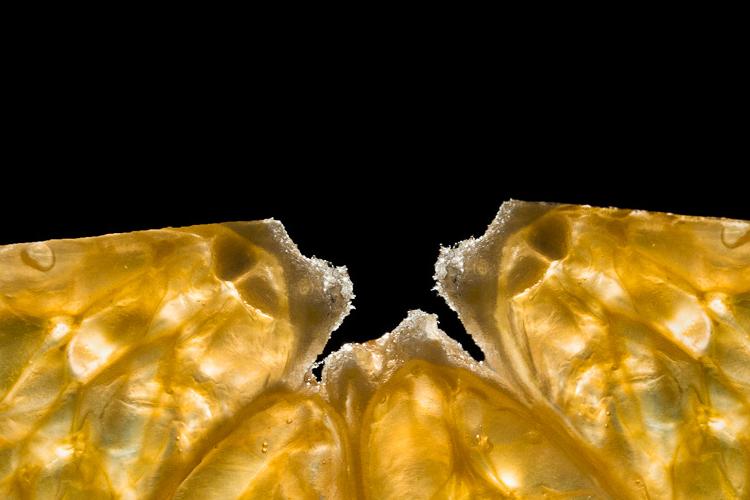 Open Zoomed Related Entry CLEMENTINE.jpg