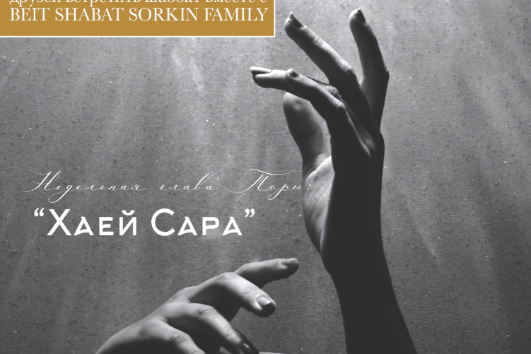 XPlace פרילנסרים | עבודה מהבית לפרילנסר ועבודות פרילנס לפרילנסרים