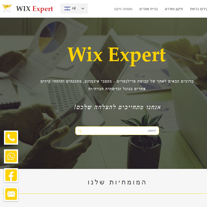 Entry 306300 in Portfolio by Wix Expert