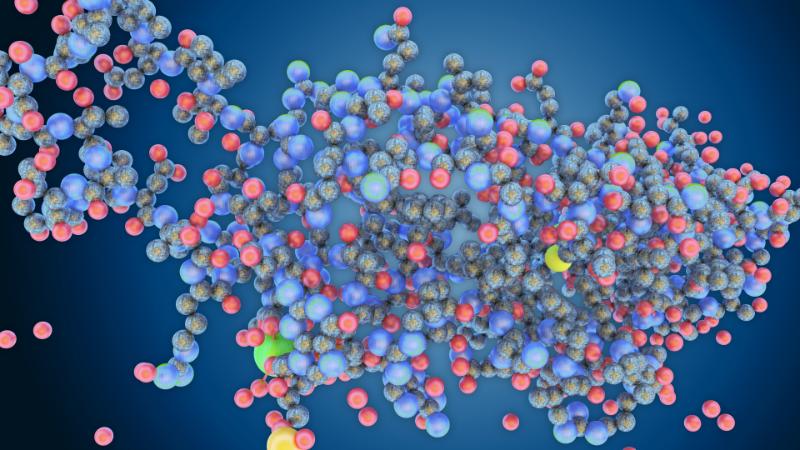 Entry 41236 in Portfolio by סטודיו BioLogic