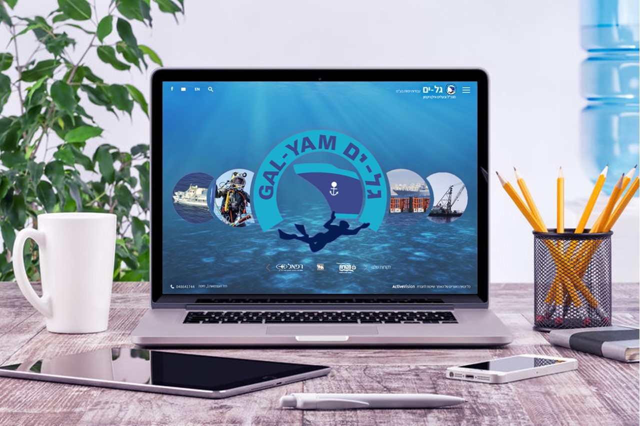 Entry 105778 in Portfolio by Active Vision