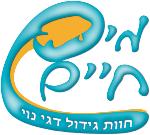 XPlace פרילנסרים | עבודה מהבית לפרילנסר ועבודות פרילנס לפרילנסרים
