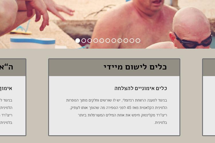 Open Zoomed Related Entry עיצוב אתר-דף בית.jpg