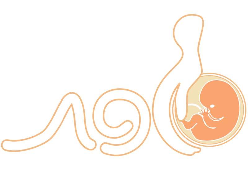 Entry 39098 in Portfolio by גזרית - סטודיו לעיצוב גרפי