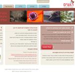 Open Zoomed Related Entry רגעים