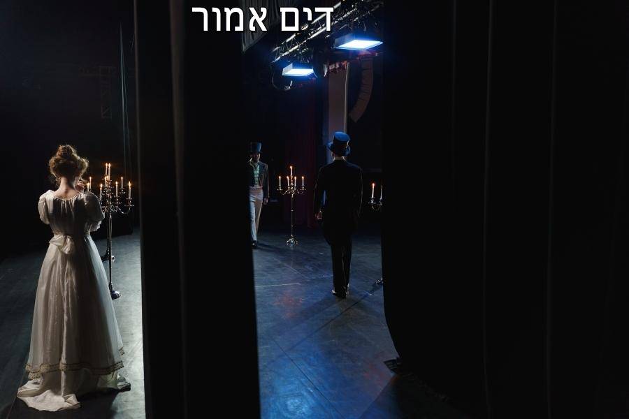 Entry 267780 in Portfolio by דים אמור בית ספר למשחק