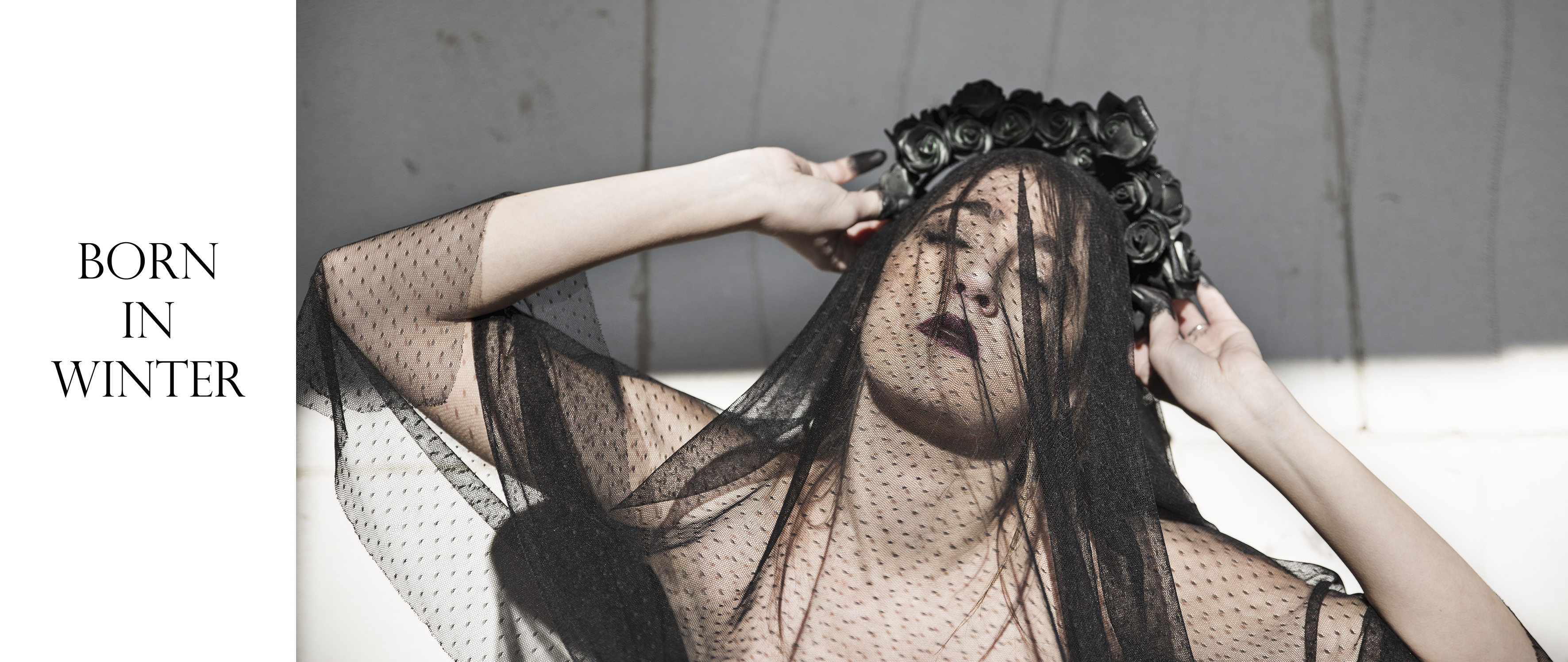 Entry 190548 in Born in winter by Adi dar photography