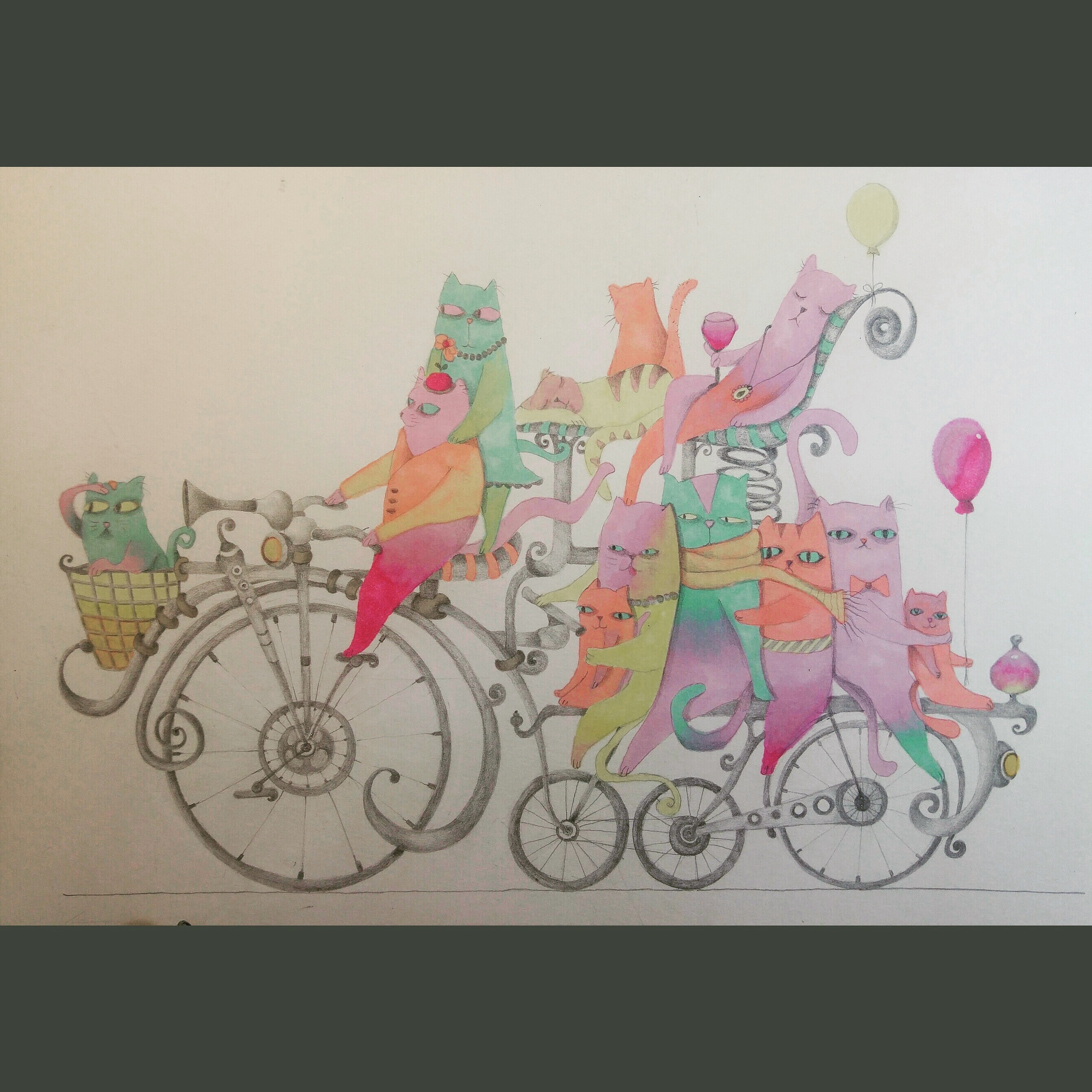 Entry 159469 in Portfolio by סיגל סגל