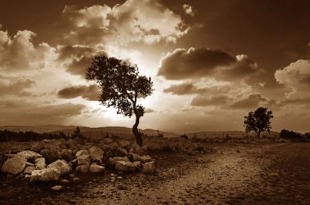 Open Zoomed Related Entry Landscapes samples